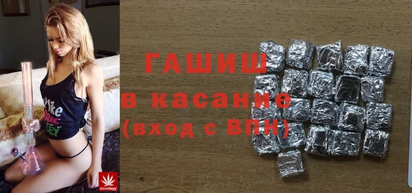 прущие грибы Алзамай