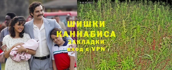 прущие грибы Алзамай
