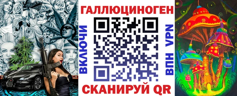 Купить где  Малаховка  Галлюциногенные грибы Psilocybe 